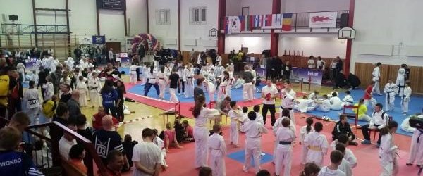 Kryniczanie zdobyli 11 medali na zawodach taekwondo