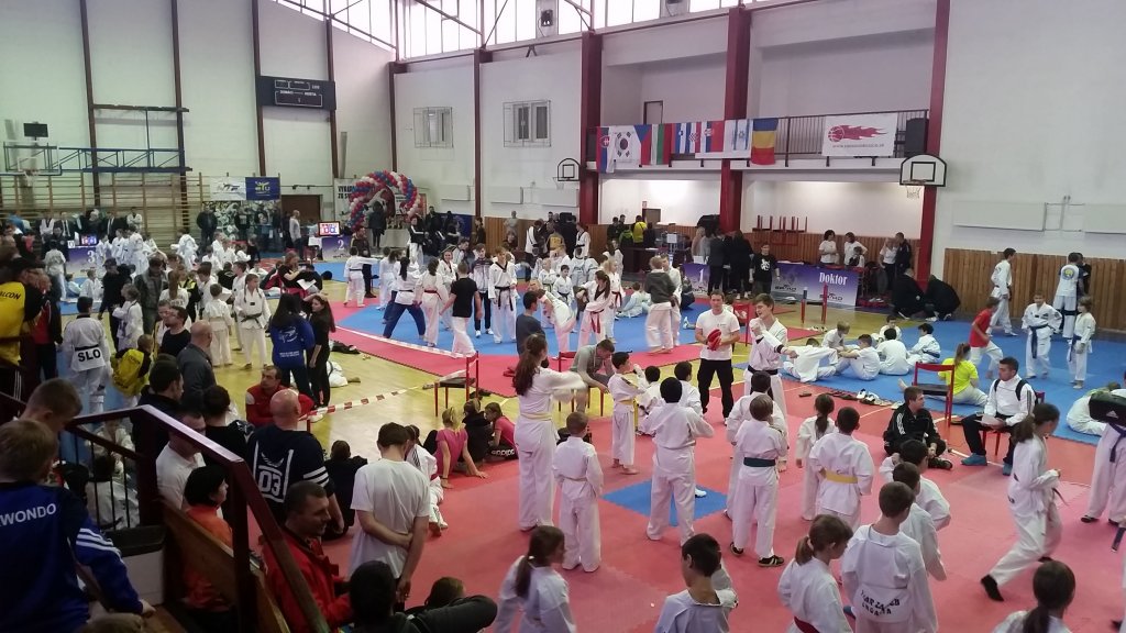 Kryniczanie zdobyli 11 medali na zawodach taekwondo