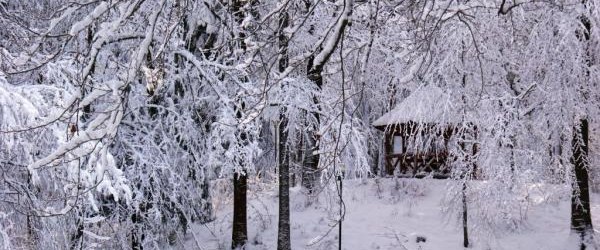 Ferie w Gminie Krynica-Zdrój