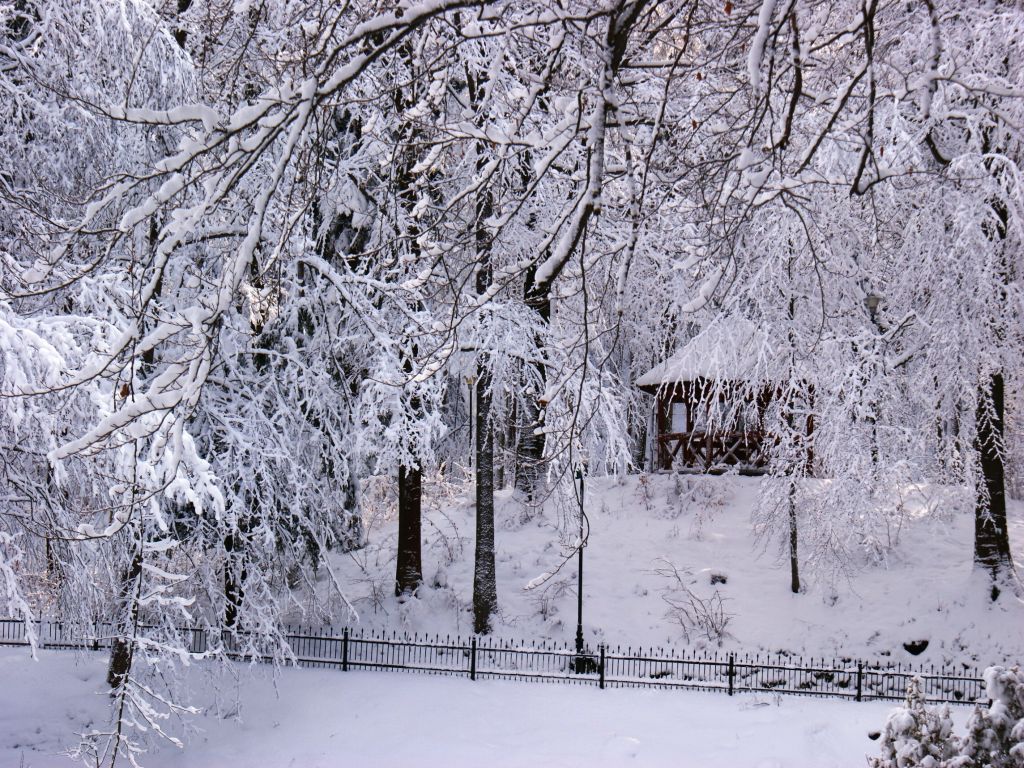 Ferie w Gminie Krynica-Zdrój