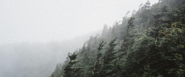 Uwaga! Będzie mocno wiało!