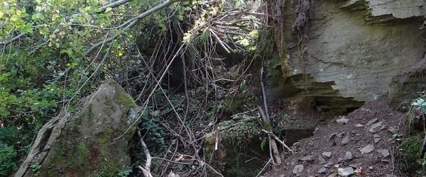 Wnioski o dokonanie aktualizacji gleboznawczej klasyfikacji gruntów