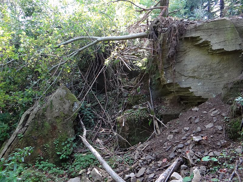 Wnioski o dokonanie aktualizacji gleboznawczej klasyfikacji gruntów