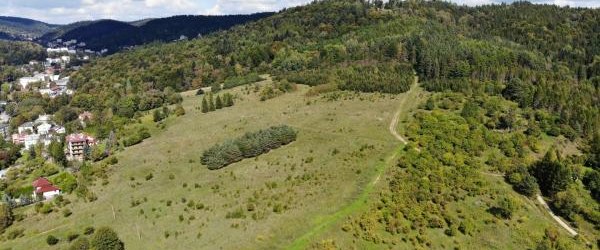 3,5 mln zł dofinansowania unijnego na Ogrody Żywiołów!