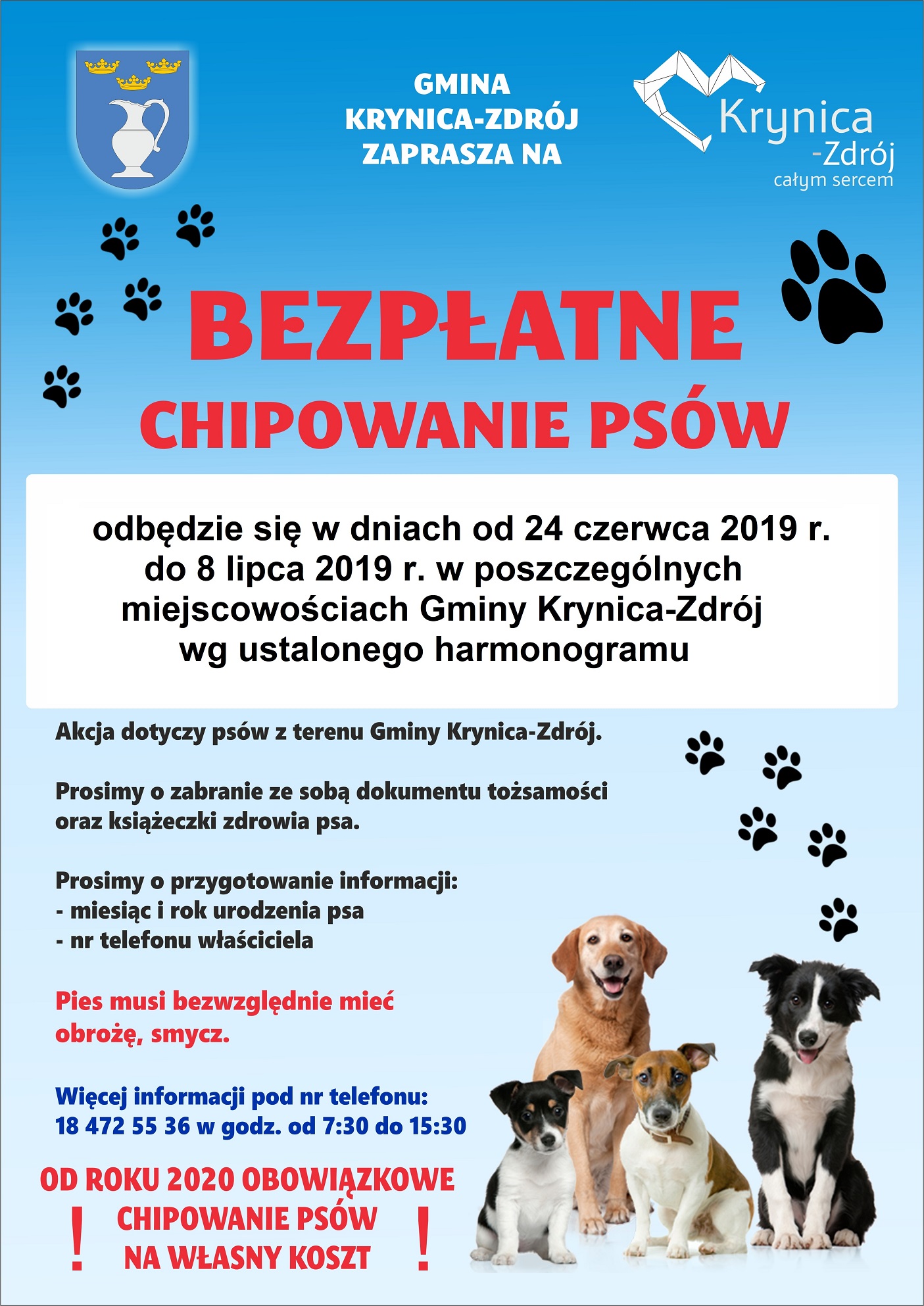 Bezpłatne chipowanie psów - harmonogram