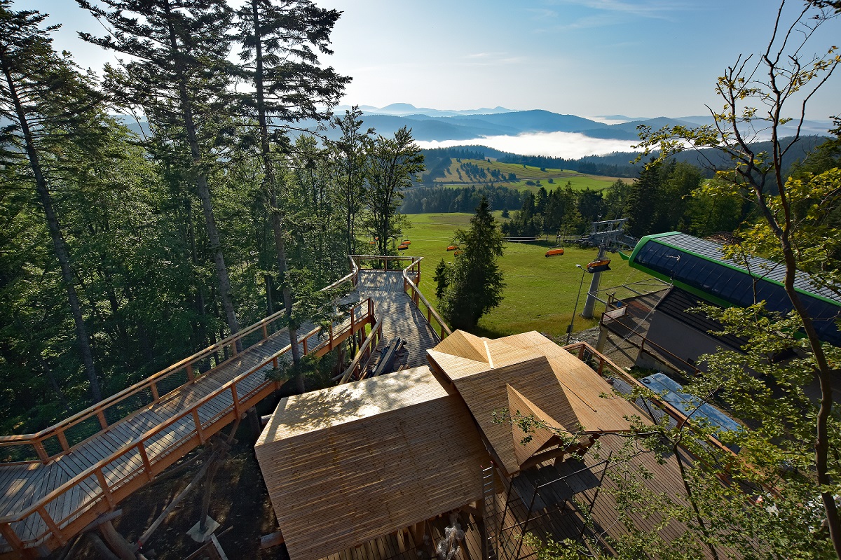 W Krynicy-Zdroju otwarto jedyną w Polsce ścieżkę w koronach drzew
