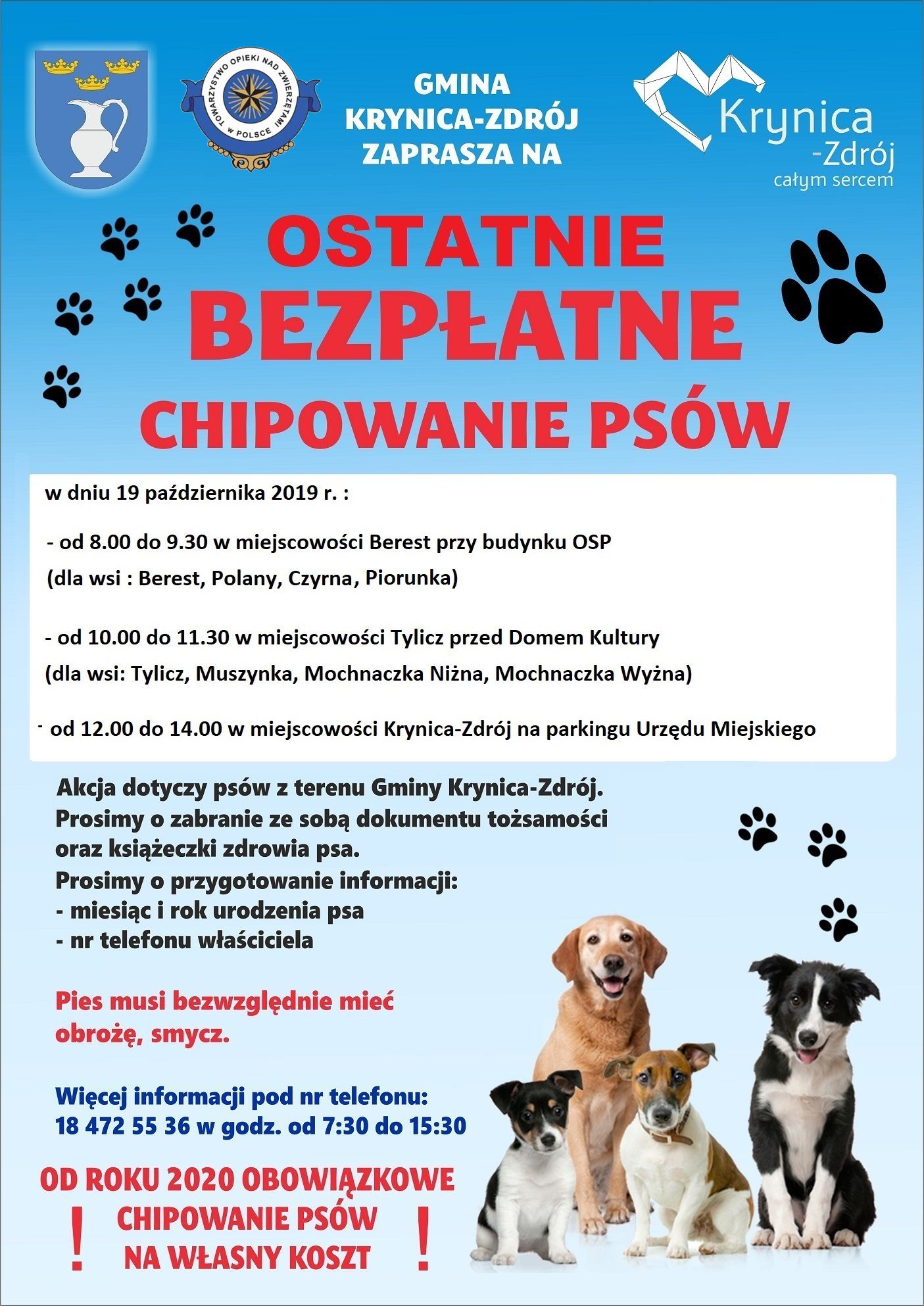 Ostatnia edycja akcji bezpłatnego chipowania psów!