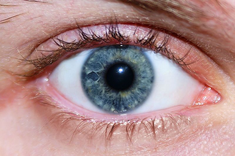 Komputerowe badanie wzroku i pomiar ciśnienia śródgałkowego (profilaktyka jaskry)