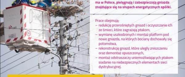 Zimowa opieka nad bocianimi gniazdami