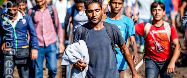 Nie ma zgody Burmistrza Krynicy-Zdroju na przyjęcie imigrantów!