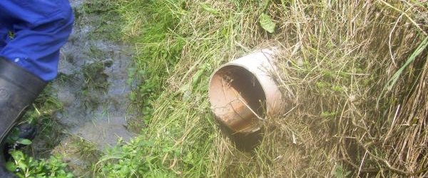 Straż Miejska kontroluje